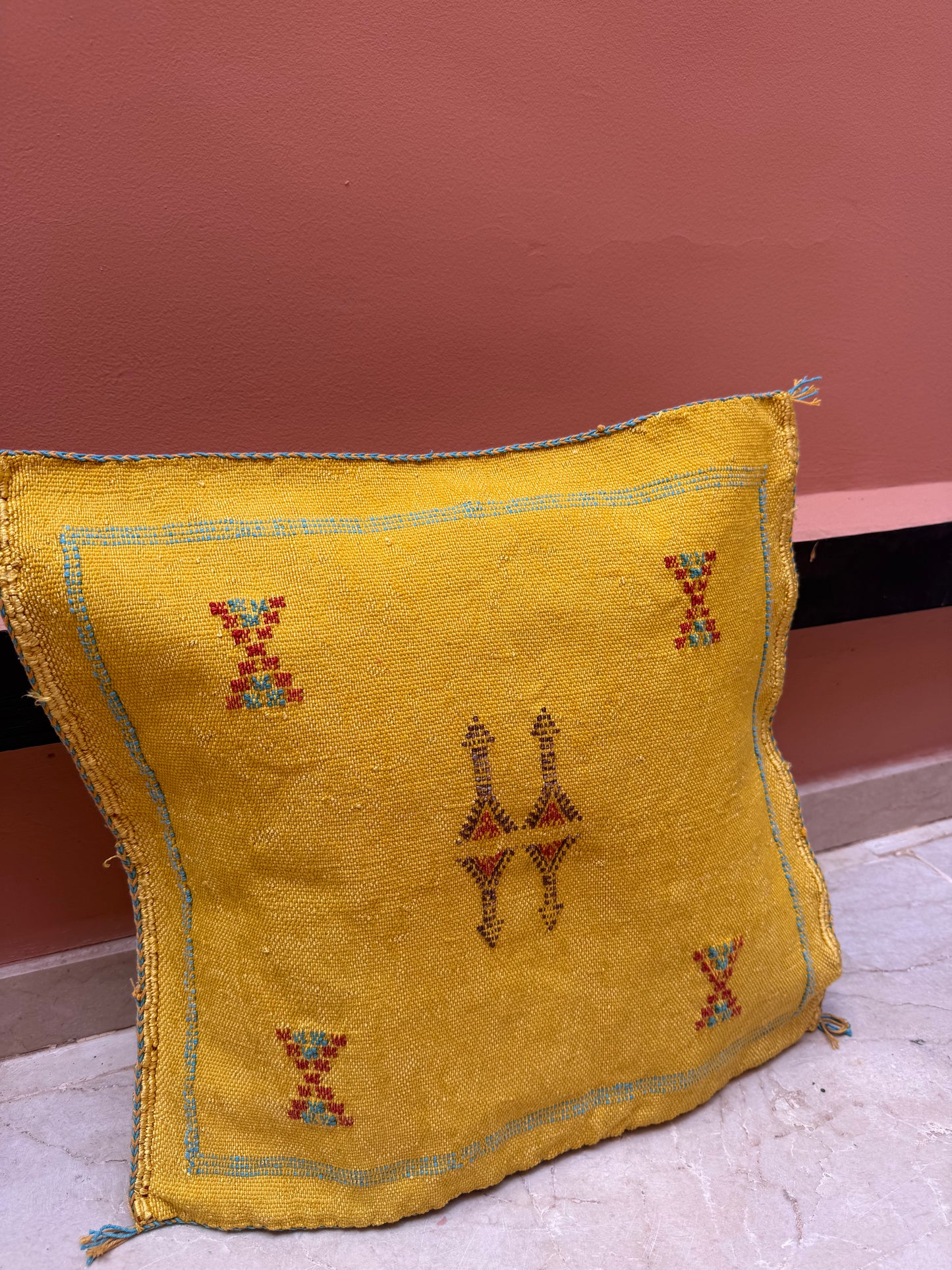 Housse de coussin en soie végétale