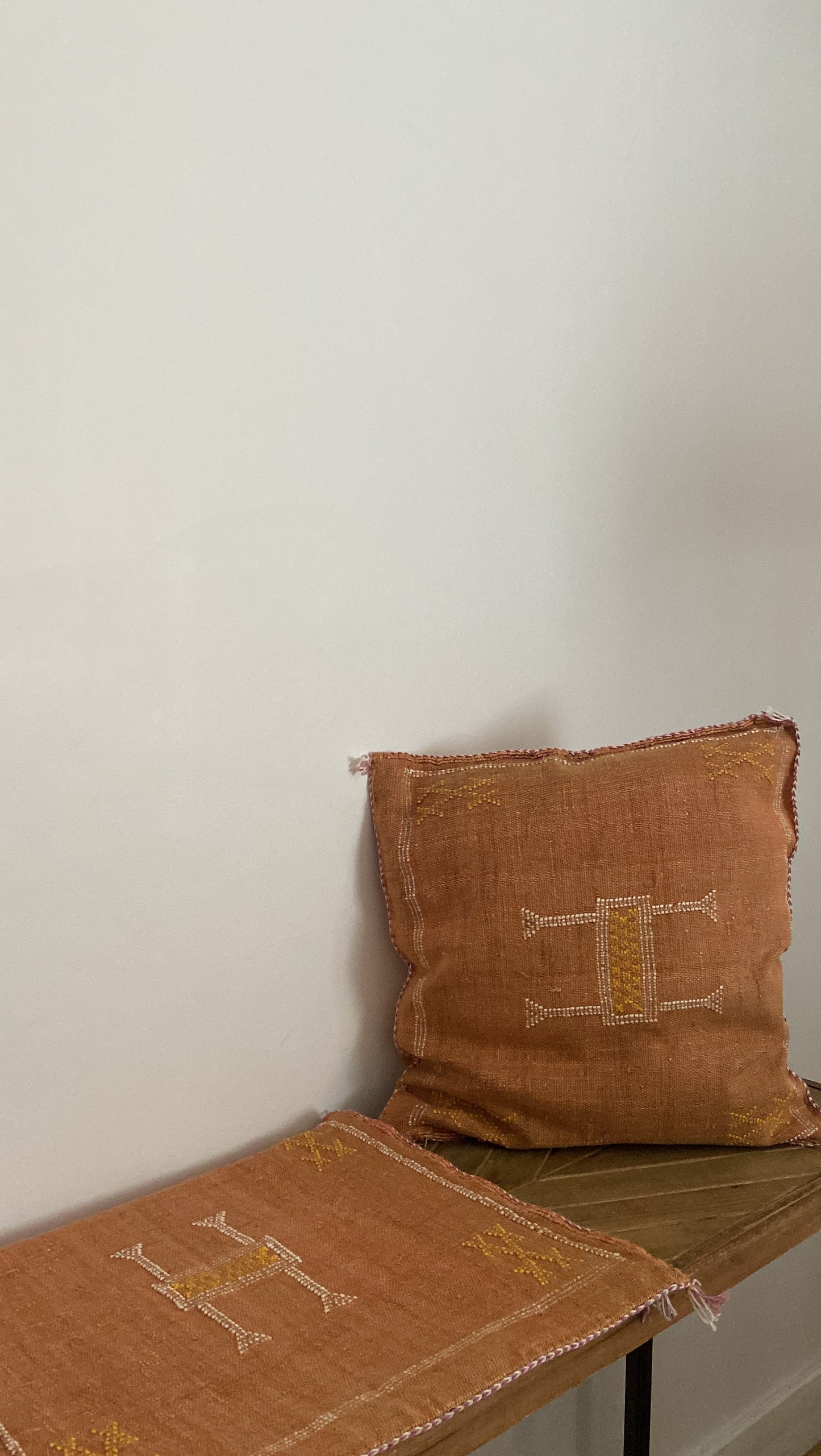 Housse de coussin en soie végétale Rouille