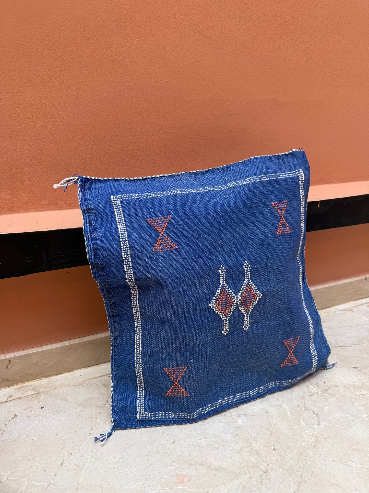 Housse de coussin en soie végétale