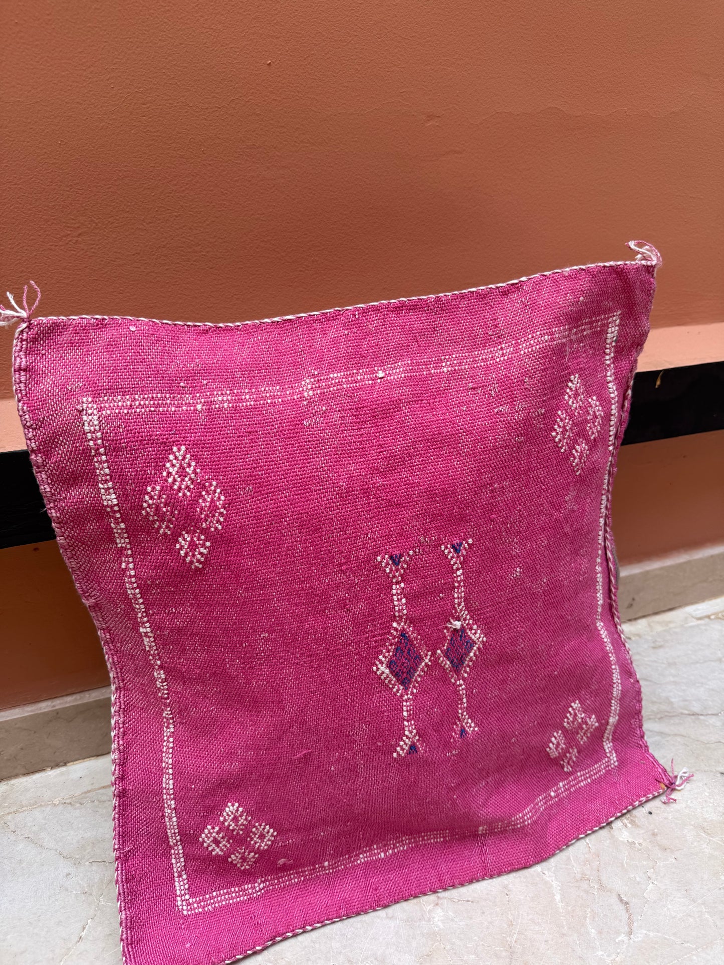 Housse de coussin en soie végétale