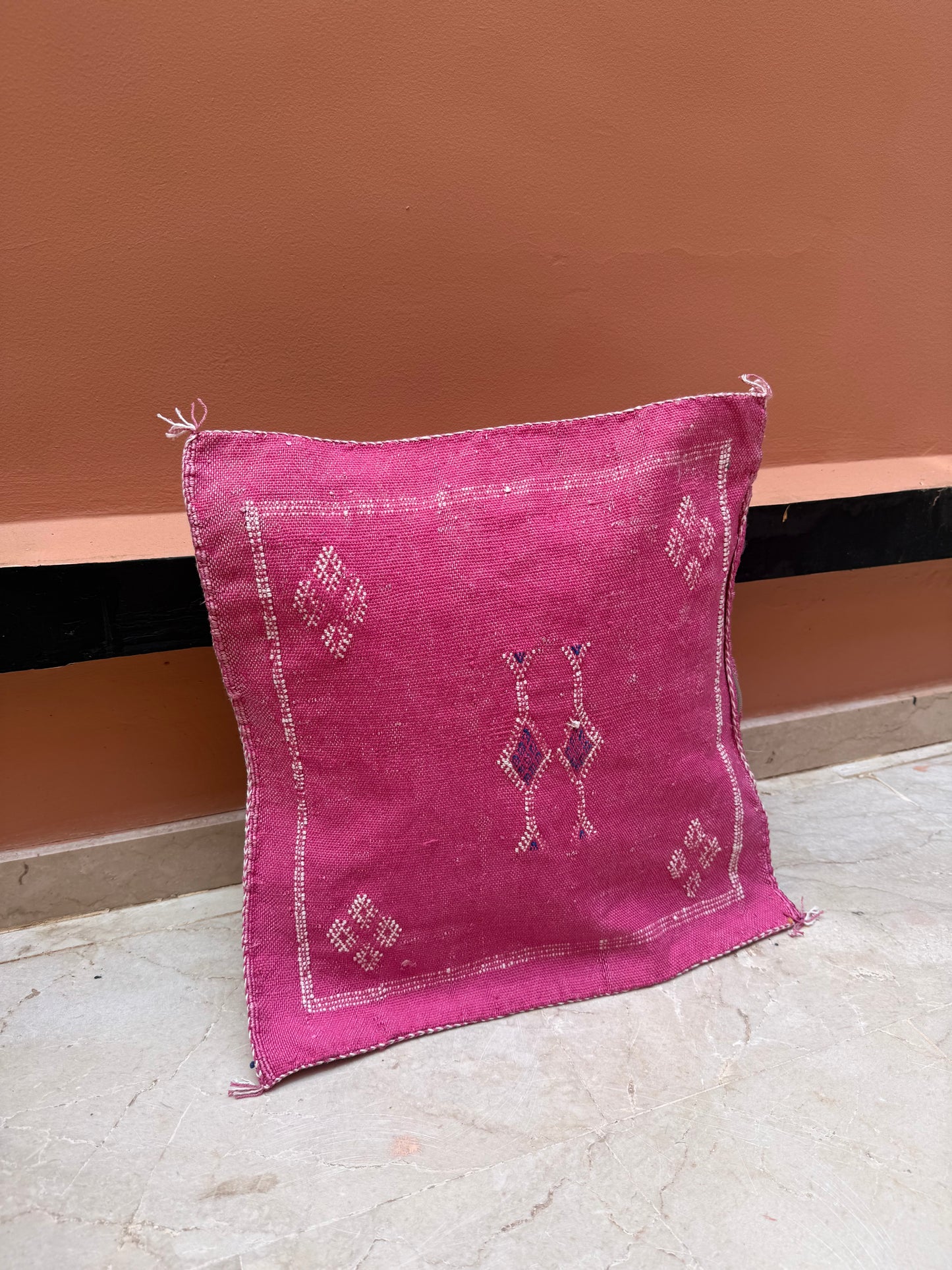 Housse de coussin en soie végétale