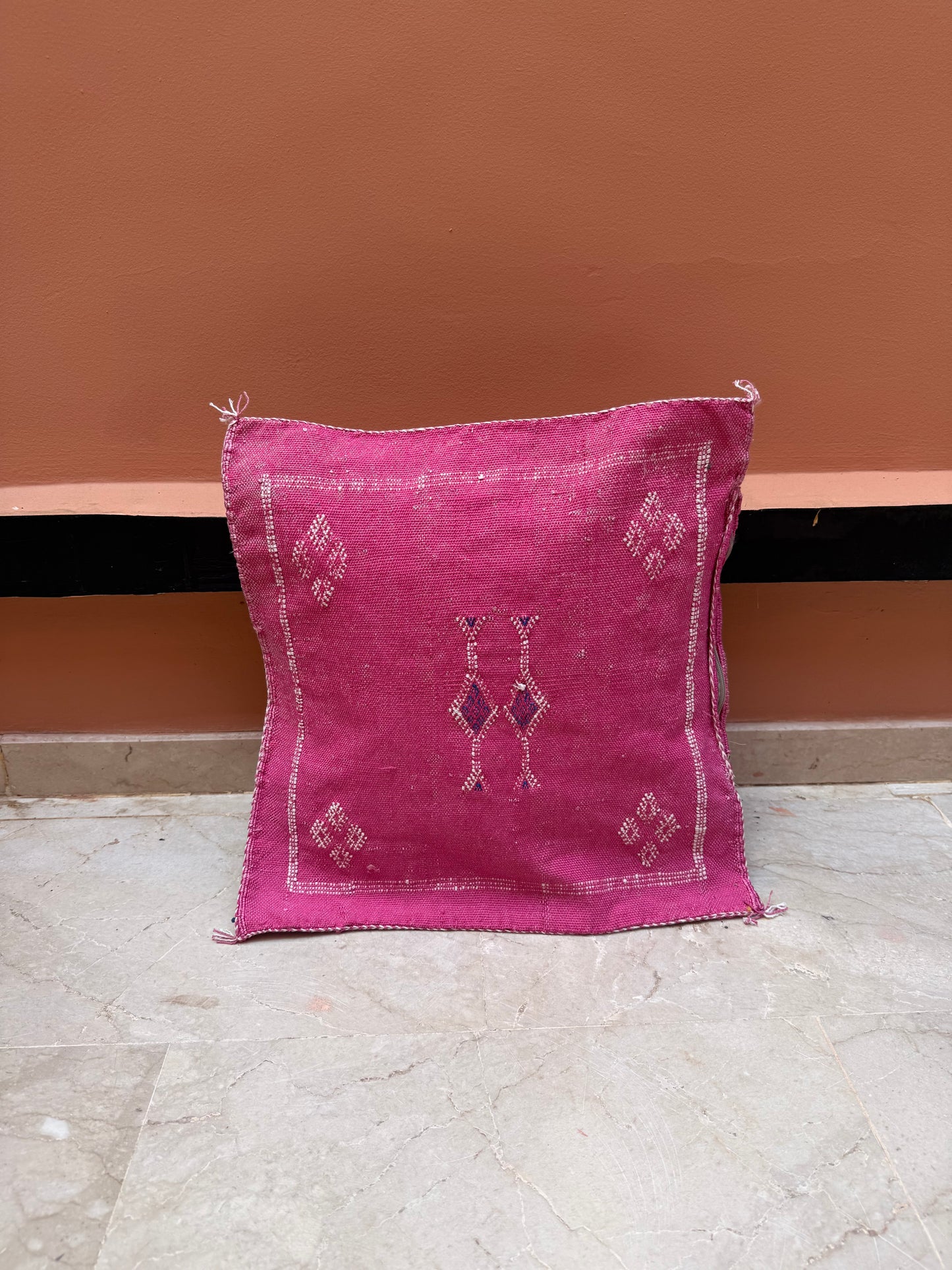 Housse de coussin en soie végétale