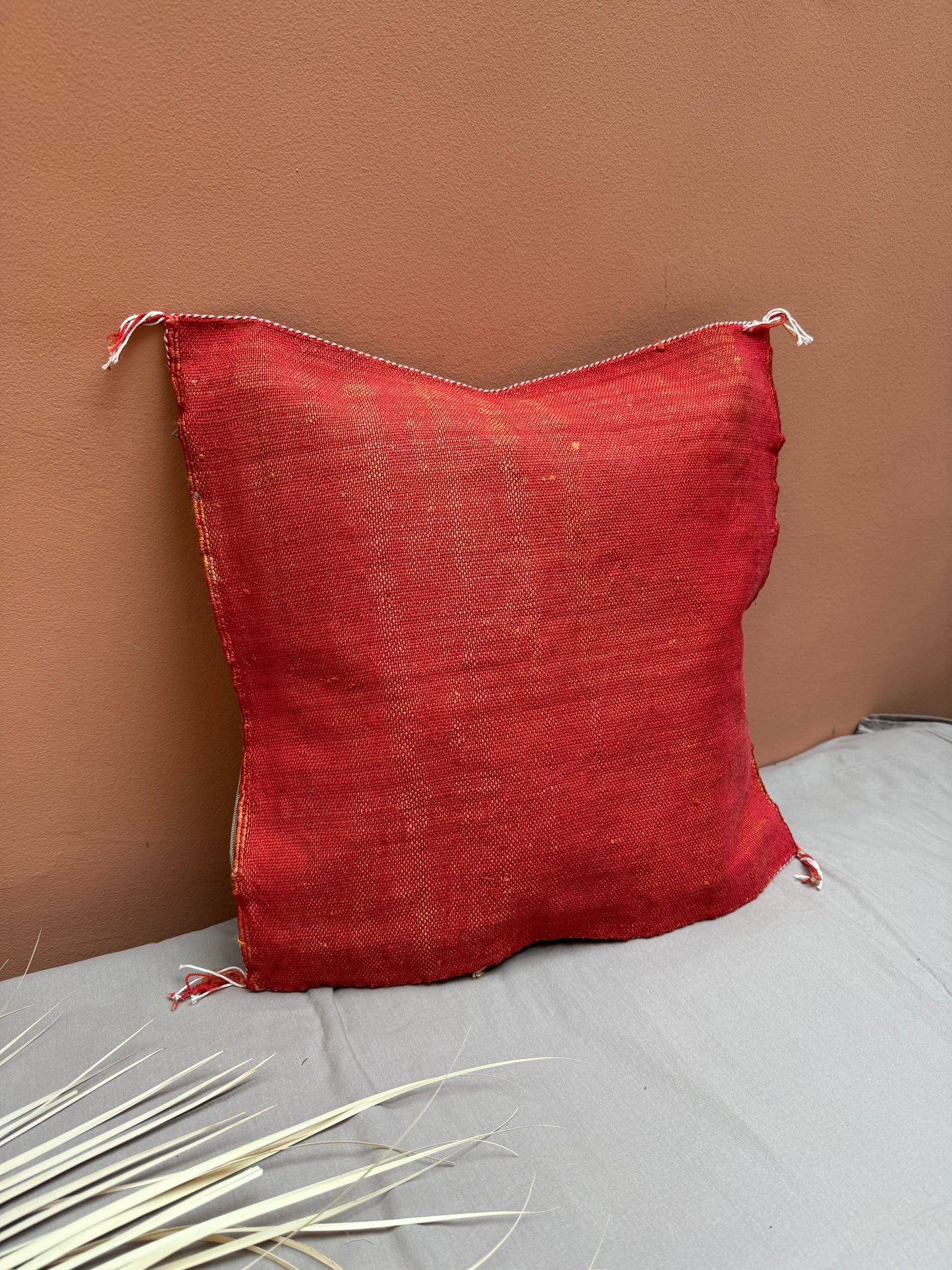 Housse de coussin en soie végétale