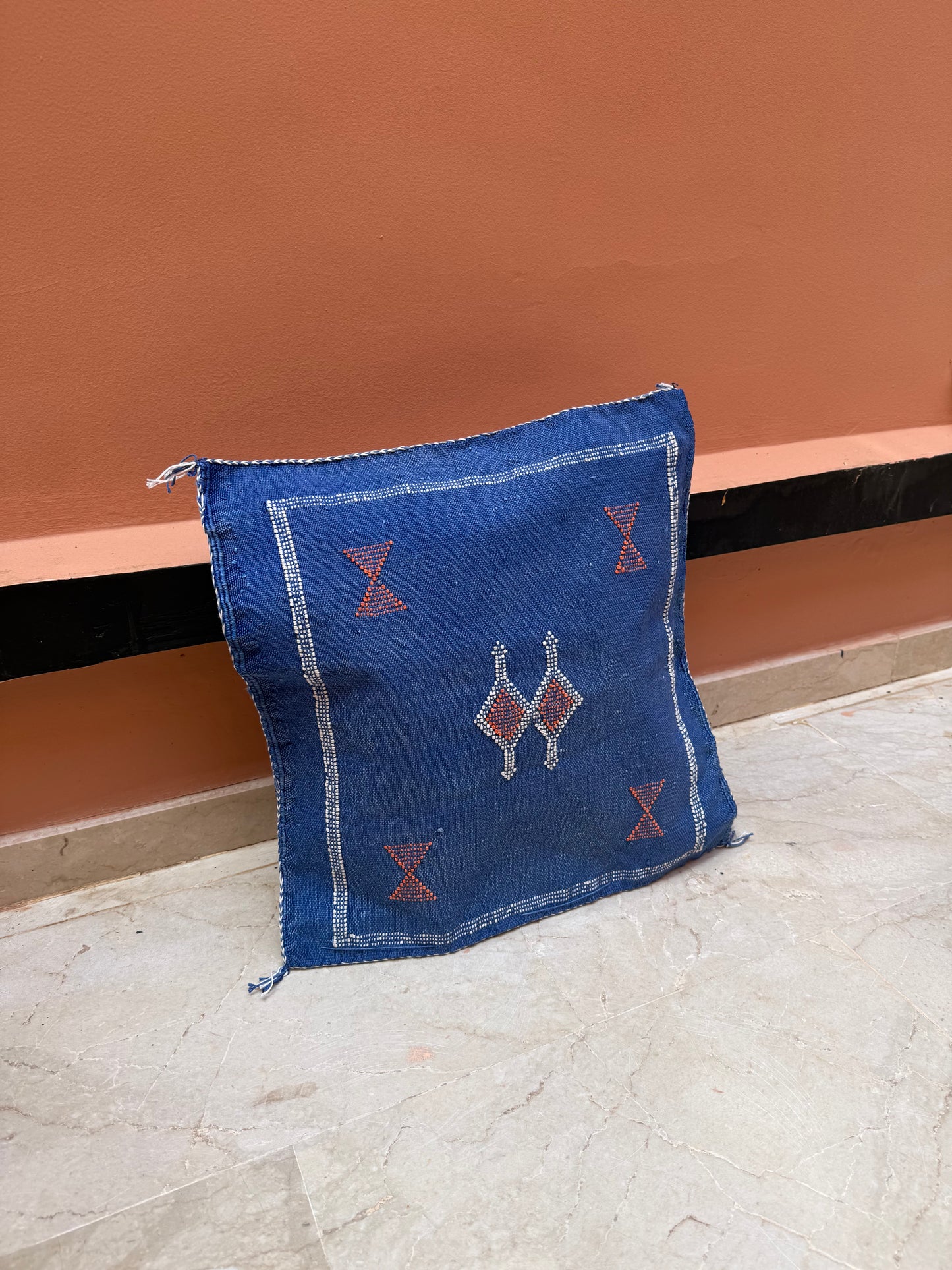 Housse de coussin en soie végétale