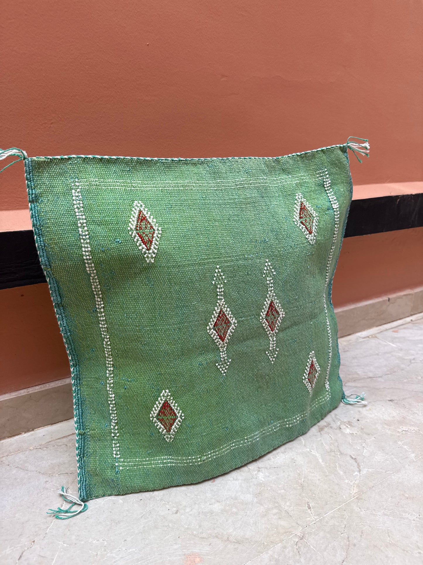 Housse de coussin en soie végétale
