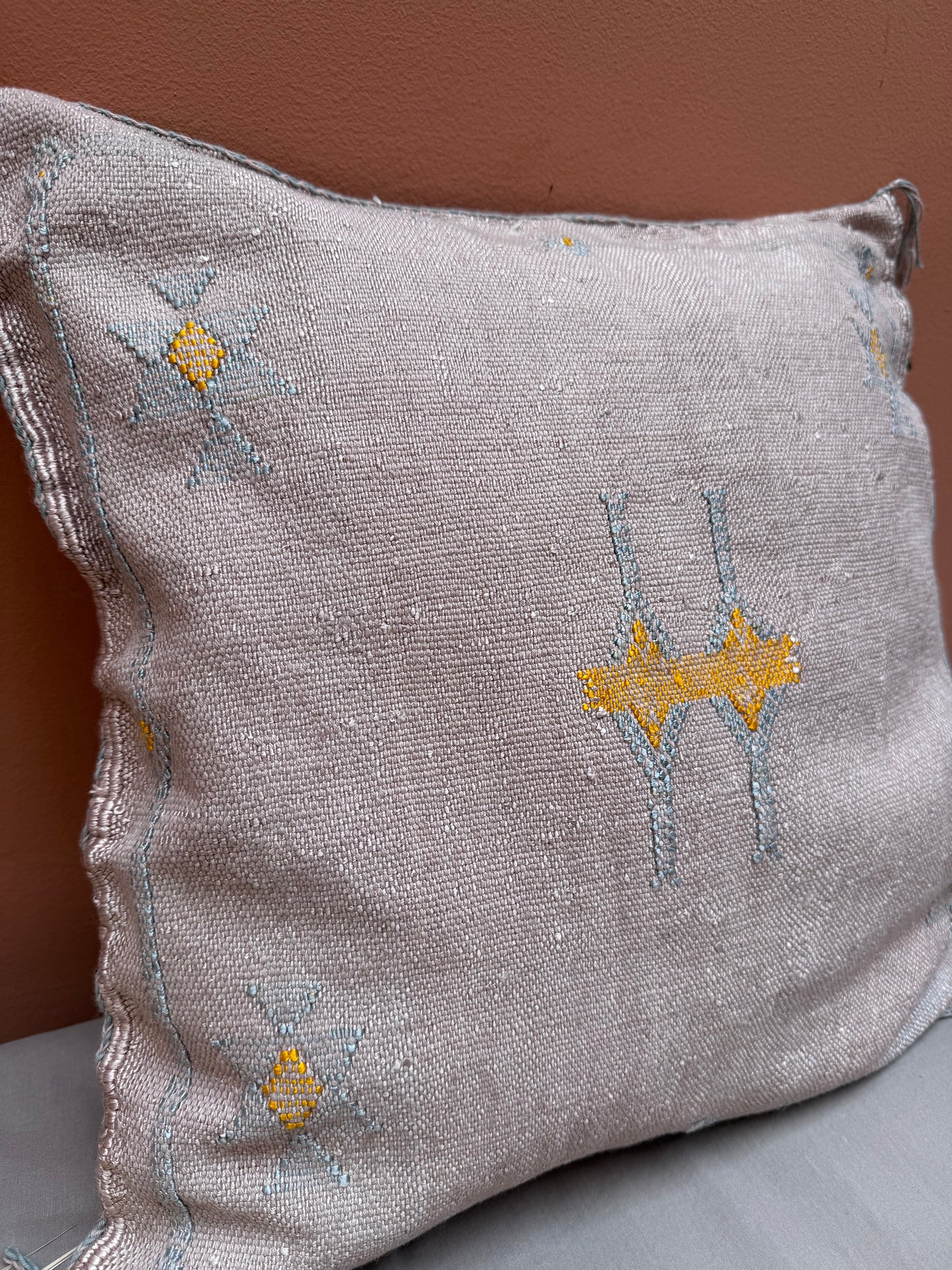 Housse de coussin en soie végétale
