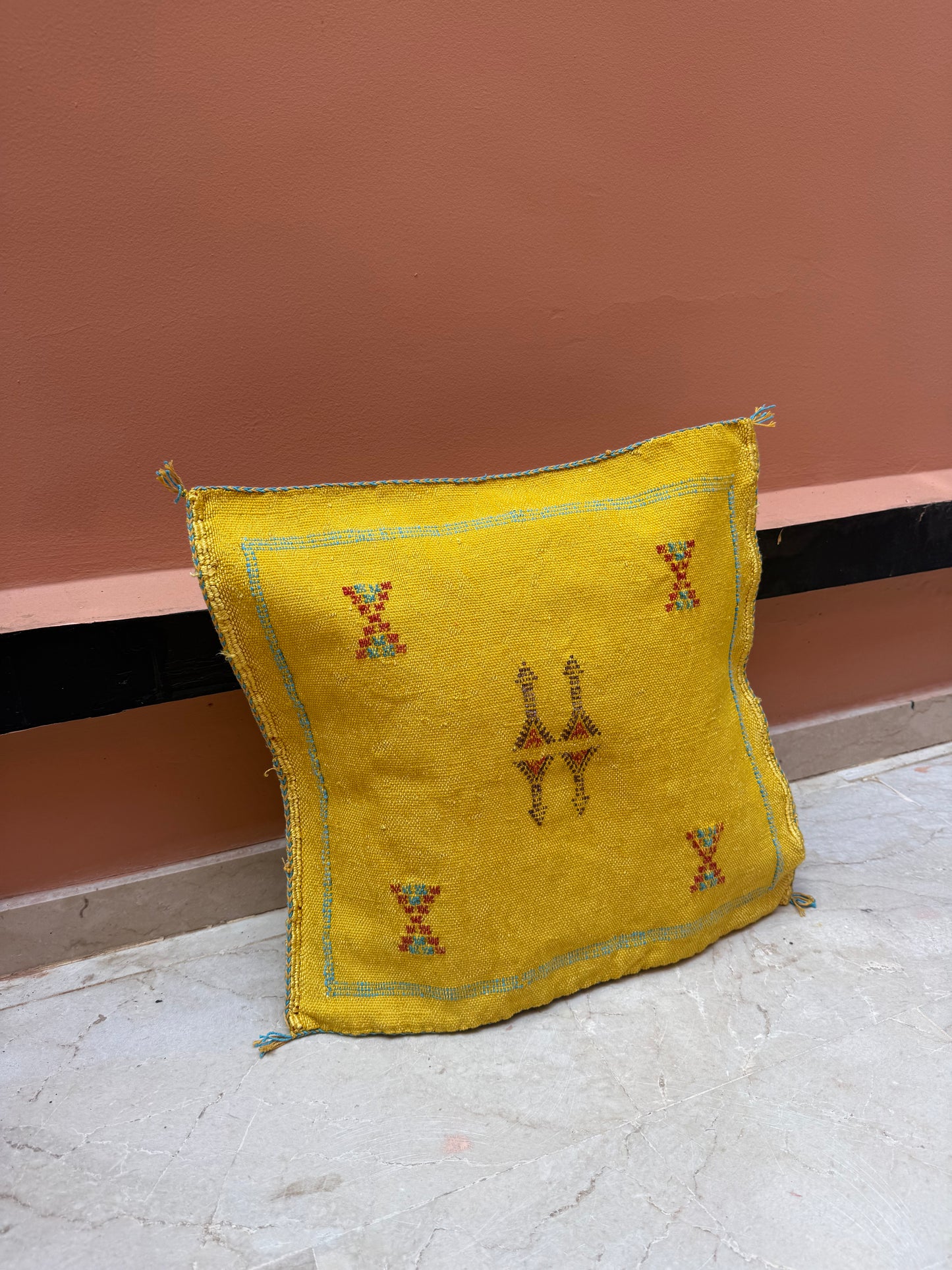 Housse de coussin en soie végétale